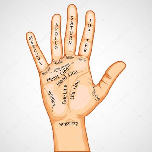 Detailed Study of Hand